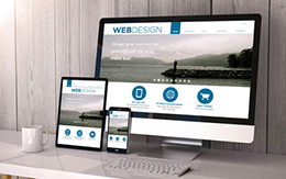 website consultation